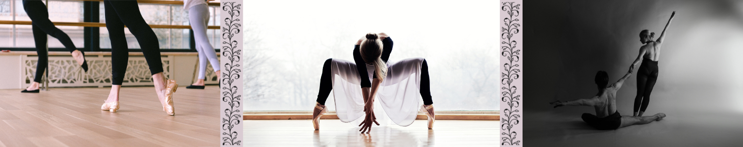 adult ballet at df dance utah